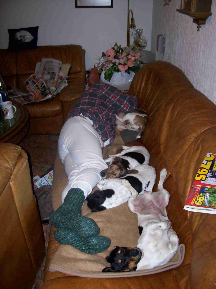 alle schlafen auf der Couch