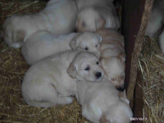 picture008.jpg