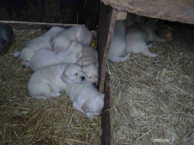 picture009.jpg