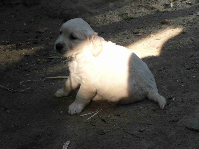 picture011.jpg