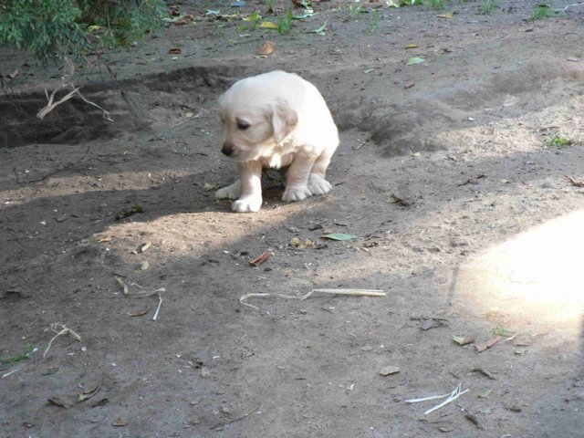picture012.jpg