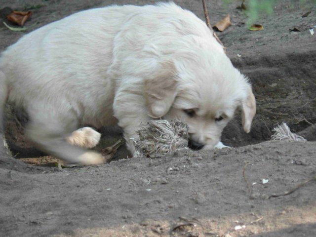 picture014.jpg