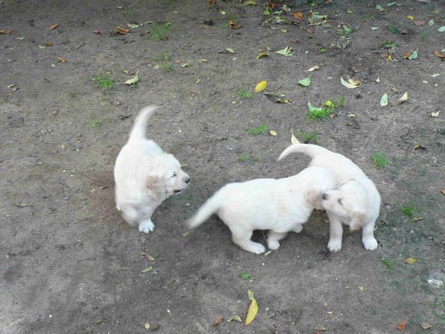 picture023.jpg