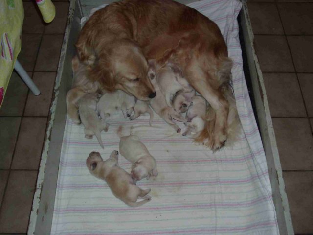 picture026.jpg