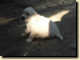 thumb028.png