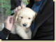 thumb028.png