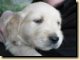 thumb028.png