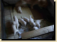 thumb028.png