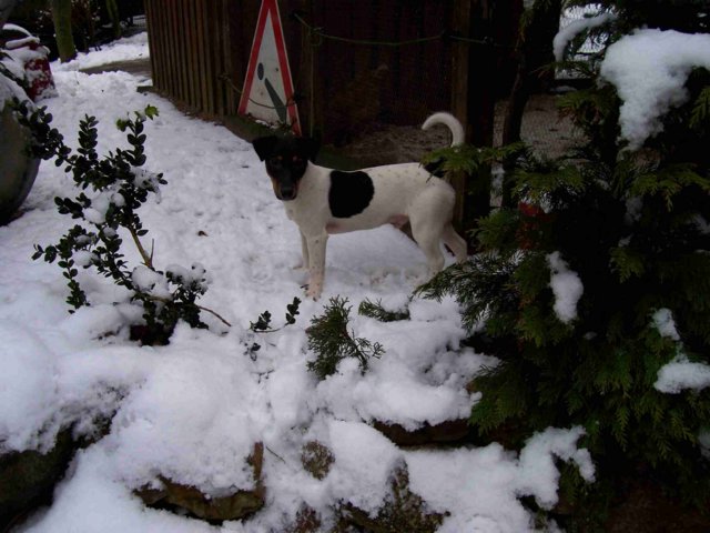 picture001.jpg