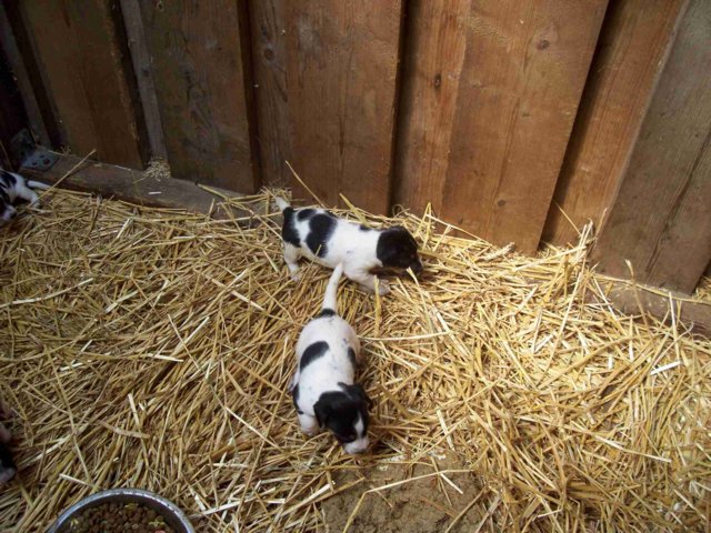 picture007.jpg