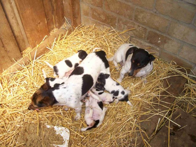 picture010.jpg