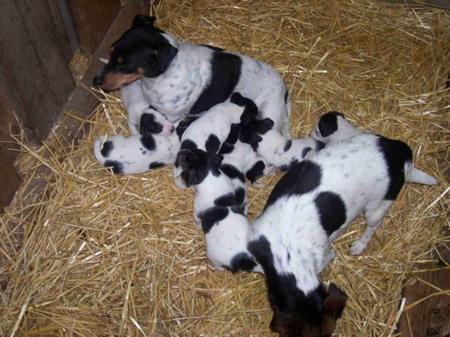 picture013.jpg