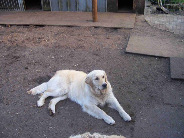 picture001.jpg