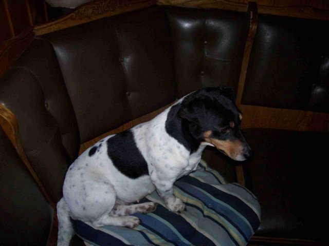 picture005.jpg