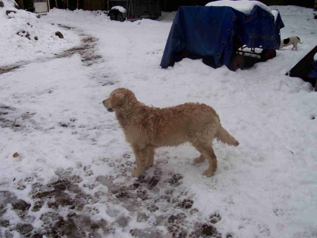 picture007.jpg