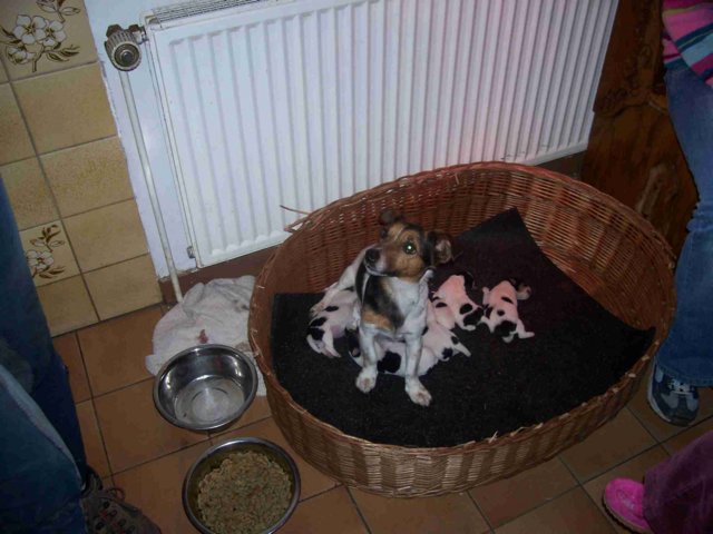 picture010.jpg
