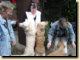thumb030.png