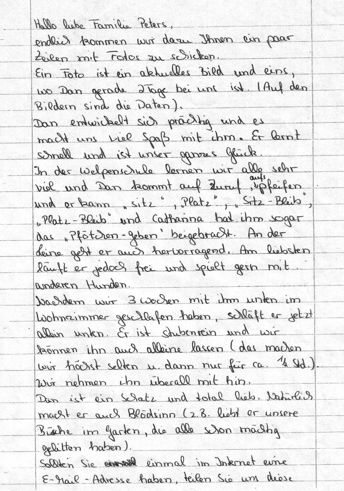 Brief von Dans Besitzer