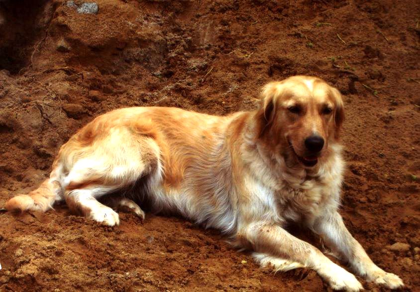 Danah liegt im Sand