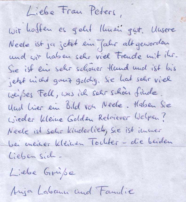 Brief von Neeles Besitzer