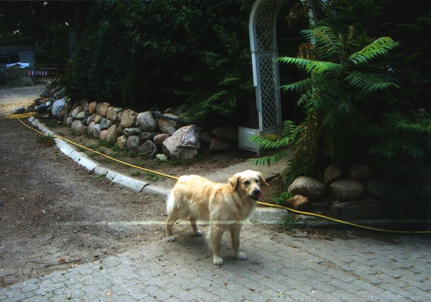 Nele steht auf einem Gartenweg
